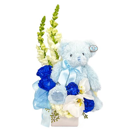 Beary Excited Arrangement - Boy